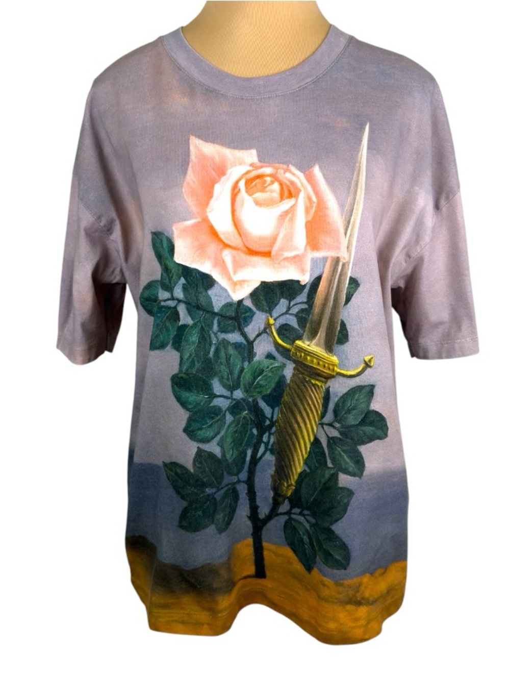 Zara René Magritte Rose Dagger Tee Dusty Lavender Small